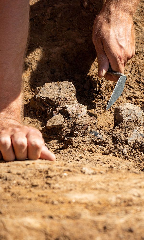 A hand holds a trowel whilst excavating an archaeological feature.