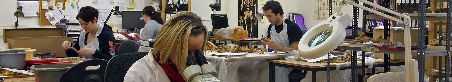 Archaeologists work at desks in a bone analysis laboratory.