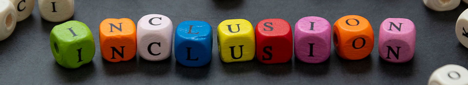 Coloured letter blocks spell out the word 'inclusion'.