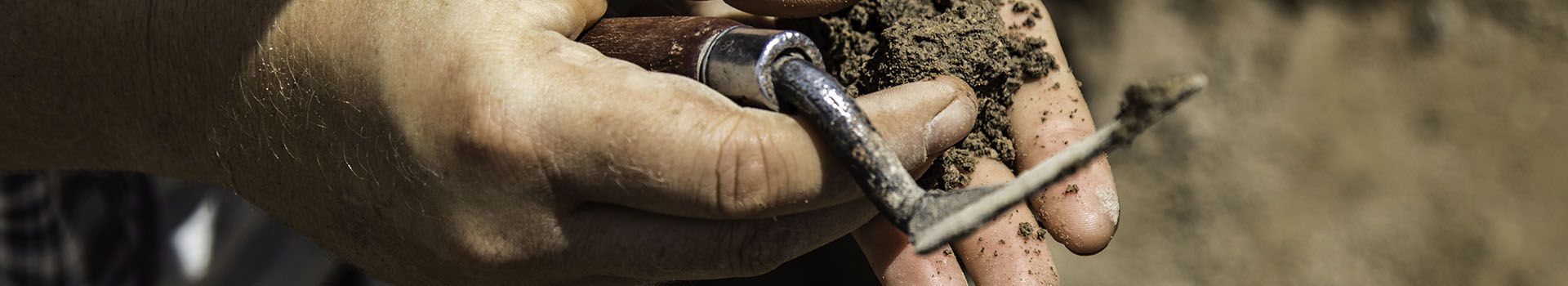 An archaeologist holds a trowel and examines a handful of soil.