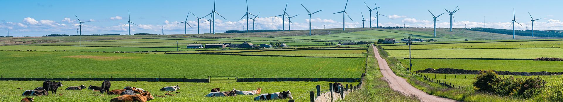 A windfarm stands on a hill in the background, with cattle and green countryside in front.