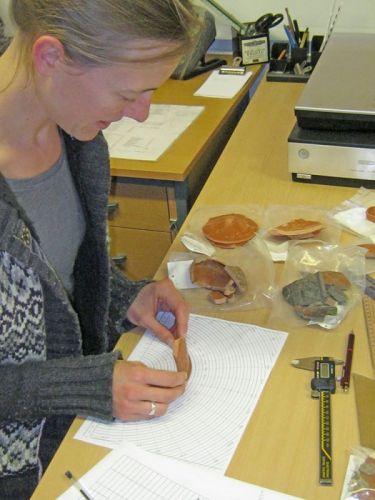 An archaeologist analyses the diameter of rim sherd of pottery on a chart..