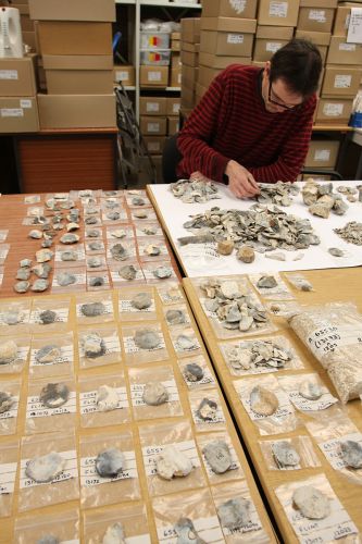 An archaeologist sits at a table and sorts through a large selection of flint finds.