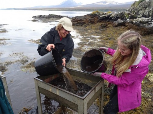 Students conduct environmental sieving by the sea.