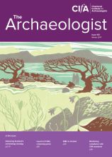 Cover of The Archaeologist - Issue 100