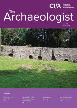 Cover of The Archaeologist - Issue 104