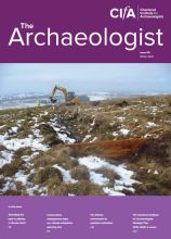 Cover of The Archaeologist - Issue 115