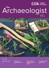 Cover of The Archaeologist - Issue 96