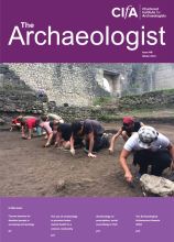 Cover of The Archaeologist - Issue 117