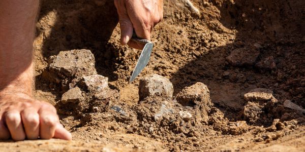 A hand holds a trowel whilst excavating an archaeological feature.