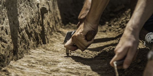 Archaeologists' hands trowel close to the edge of a trench.