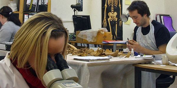 Archaeologists work at desks in a bone analysis laboratory.