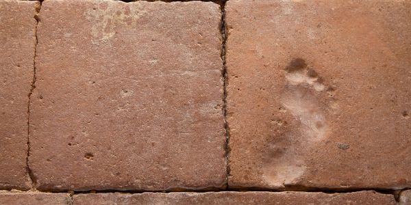 A footprint is visible in an ancient ceramic tile.