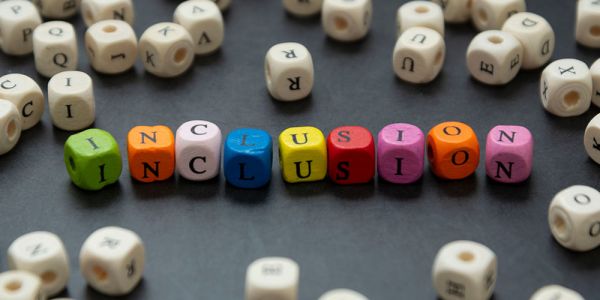 Coloured blocks spell out the word 'inclusion'.