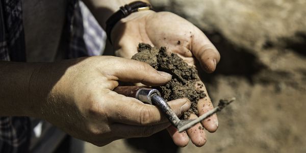 An archaeologist holds a trowel and examines a handful of soil.